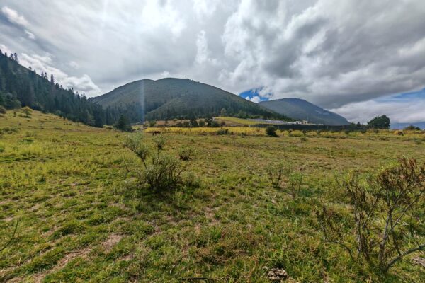 mesa-de-las-tablas-pastizal-sierra