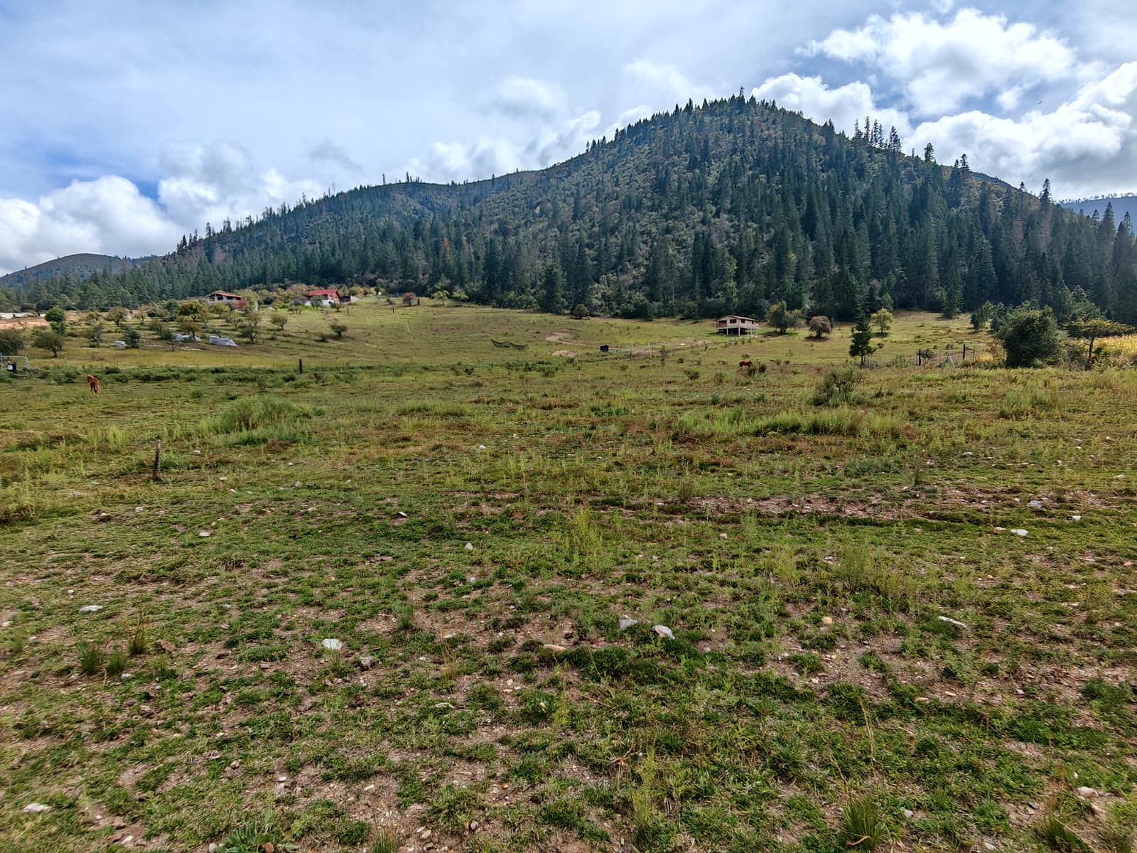 Mesa de las Tablas – Terrenos campestres en Arteaga